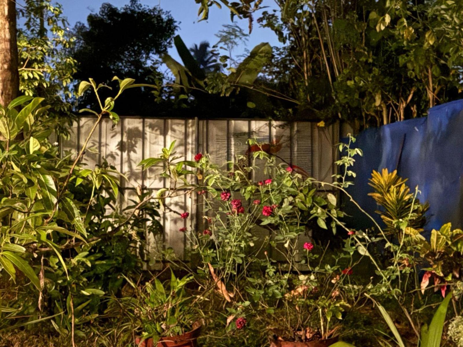 Marari Adonis Beach Villa Mararikulam Exteriér fotografie